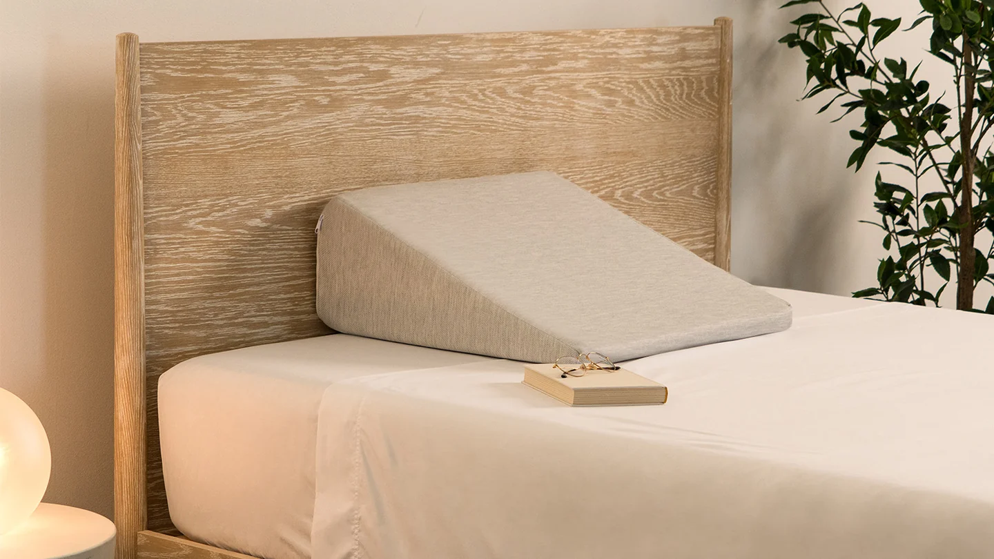 Bear wedge pillow